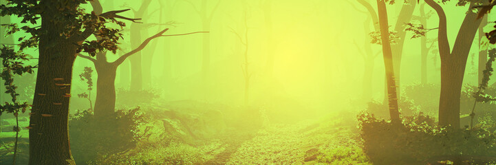 magic forest at sunrise, sunshine in beautiful landscape