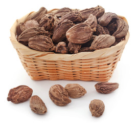 Black cardamom