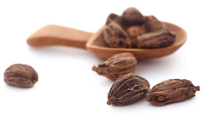 Black cardamom
