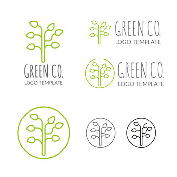 Green Company Vector Logo Template
