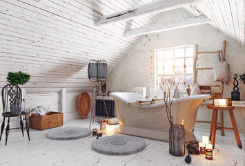  attic bathroom interior.