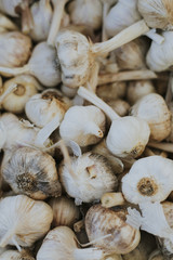 Fresh garlic at a farmers market