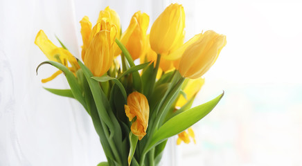A bouquet of red tulips in a vase on the windowsill. A gift for a woman's day from red tulip flowers. Beautiful red flowers in a vase by window.