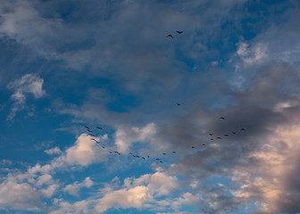 IJsselmeer - Andijk- Netherlands