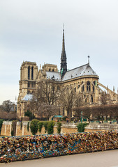 Padlocks on the Pont de l'Archeveche (Archbishop's Bridge) and the Notre-Dame cathedral in Paris
