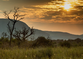 Sunsets and Sunrises of Africa