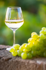white wine and grapes, close-up, vertical photo