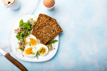 Healthy breakfast: Hard boiled eggs, fresh radish sprouts, arugula and dark whole wheat  bread with herb sauce, on blue background