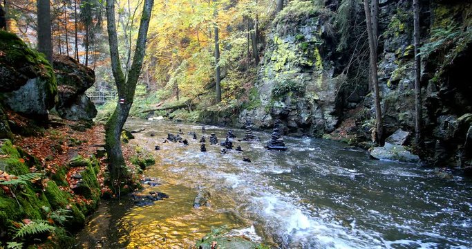 wild river Doubrava in fall colors, autumn landscape