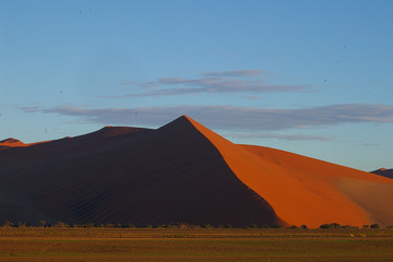 Fototapeta na wymiar Desert sunrise