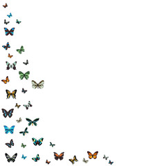  white background silhouette flying butterflies