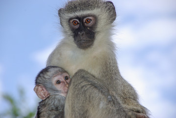Mother and Child