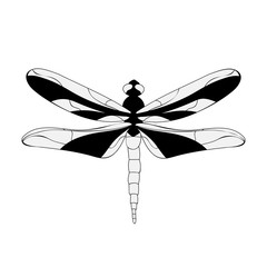 dragonfly, black and white