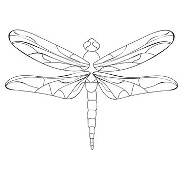 book coloring dragonfly