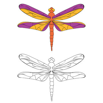 isolated, book coloring dragonfly