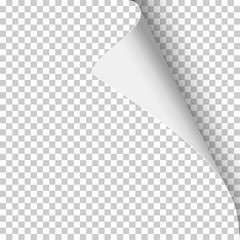 Sheet of transparent paper with curled corner and soft shadow. Vector template paper design.