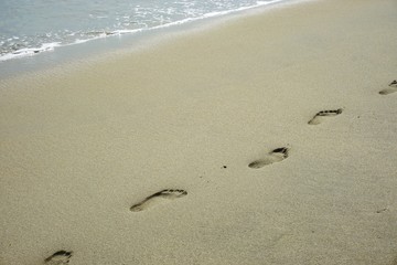 Footprints on a sandy beach along the water