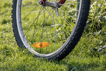 Fototapeta premium The bike wheel on grass 