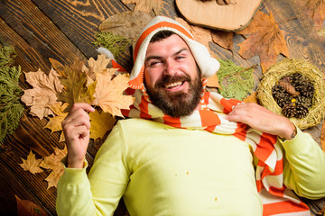 Hipster wear knitted striped hat and scarf hold autumn leaves. Man bearded face lay on wooden...