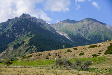 Fototapeta na wymiar Beautiful view of the mountains, red stones, wide meadows at the foot of the Tian Shan mountains