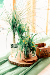Rustic wedding decor in Eco style with different elements candles, bottles, sawed wood, branches, nuts, feathers and green leaves.