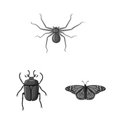Vector illustration of insect and fly logo. Collection of insect and element stock vector illustration.