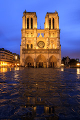 Fototapeta na wymiar Beautiful view of the Notre-Dame Cathedral in Paris at the blue hour at night