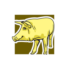 Cute pig - vector illustration. Color drawing of single pork animal, graphic arts and cartoon design style. 