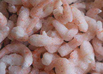 Fresh shrimps, seafood