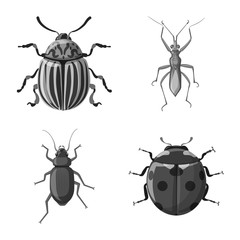 Vector illustration of insect and fly icon. Set of insect and element stock symbol for web.