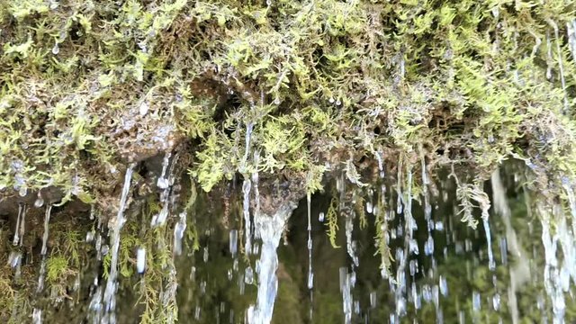 Travertine waterfall Dreinmuehlen (engl. three mills) at Nohn in  Vulkan Eifel region (Germany)