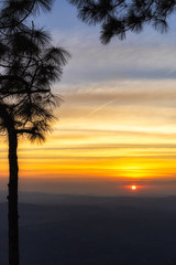 Pine tree silhouette on a hill and colorful sunset with hazy clouds in the sky in evening background.