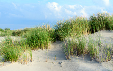 Nordsee, Strand auf Langeoog: Dünen, Meer, Entspannung, Auszeit, Ruhe, Erholung, Ferien, Urlaub, Glück, Freude,Meditation :) 