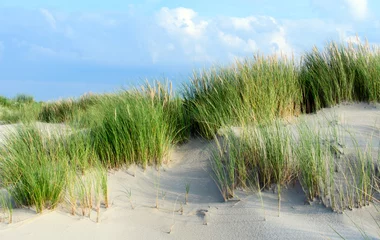 Nordsee, Strand auf Langeoog: Dünen, Meer, Entspannung, Auszeit, Ruhe, Erholung, Ferien, Urlaub, Glück, Freude,Meditation :)  © doris oberfrank-list