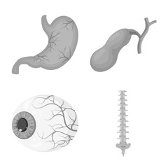 Vector illustration of body and human icon. Set of body and medical stock symbol for web.