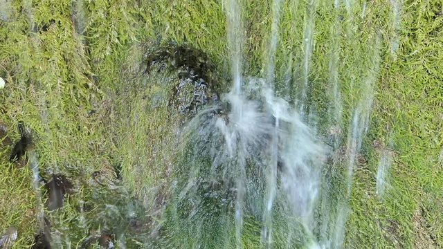 Travertine waterfall Dreinmuehlen (engl. three mills) at Nohn in  Vulkan Eifel region (Germany)
