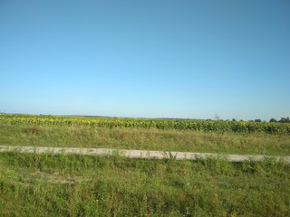 road near the field on the sky background