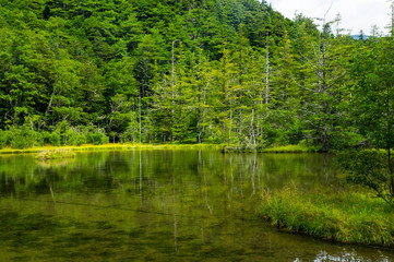 上高地　明神池　日本　長野