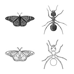 Isolated object of insect and fly symbol. Set of insect and element stock symbol for web.