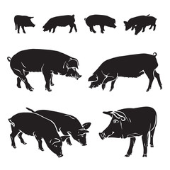 Silhouettes of pigs - black and white vector isolated illustration. Monochrome side view of animals drawing, graphic arts. 