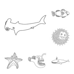 Isolated object of sea and animal logo. Collection of sea and marine stock symbol for web.