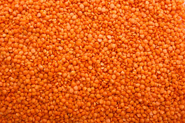 raw lentils on a white acrylic background