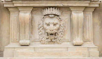 Obraz premium Lion
