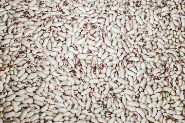 dry phaseolus kidney bean texture