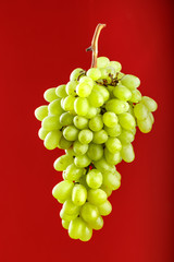 ripe grapes ripped off