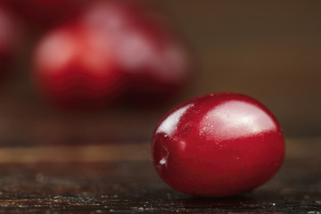 dogwood berry closeup
