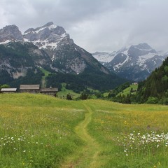 Fototapeta na wymiar Foot path leading towards Gsteig bei Gstaad and mountains Schlauchhorn and Oldenhorn, Switzerland. 