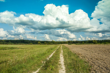 Road next to plowed field to the forest