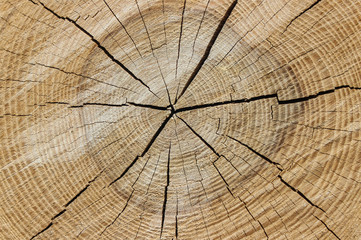 background texture of wooden section