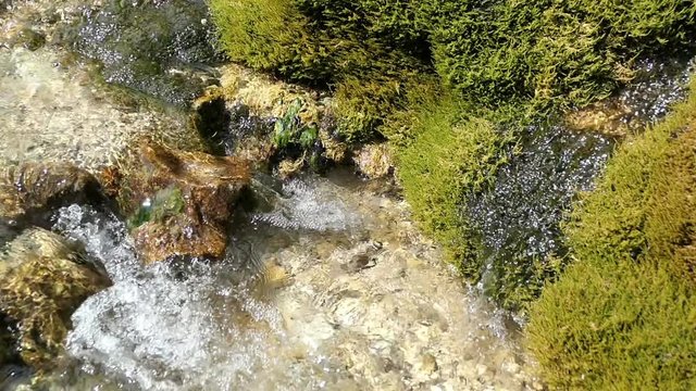 Travertine waterfall Dreinmuehlen (engl. three mills) at Nohn in  Vulkan Eifel region (Germany)